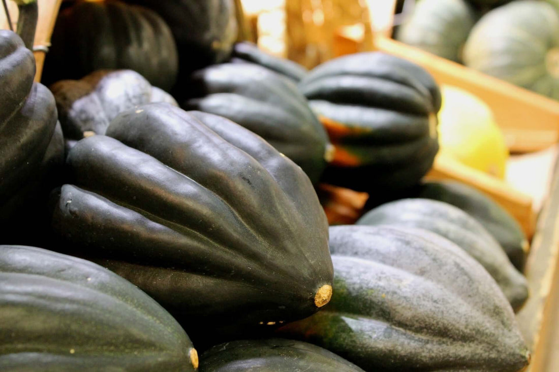 Stuffed Acorn Squash - Navon Naturals Skincare