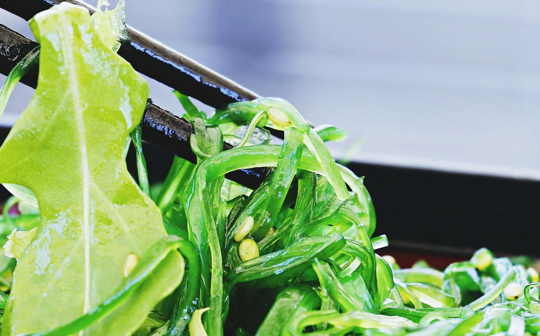 10 Reasons Why I Love Seaweed - Navon Naturals