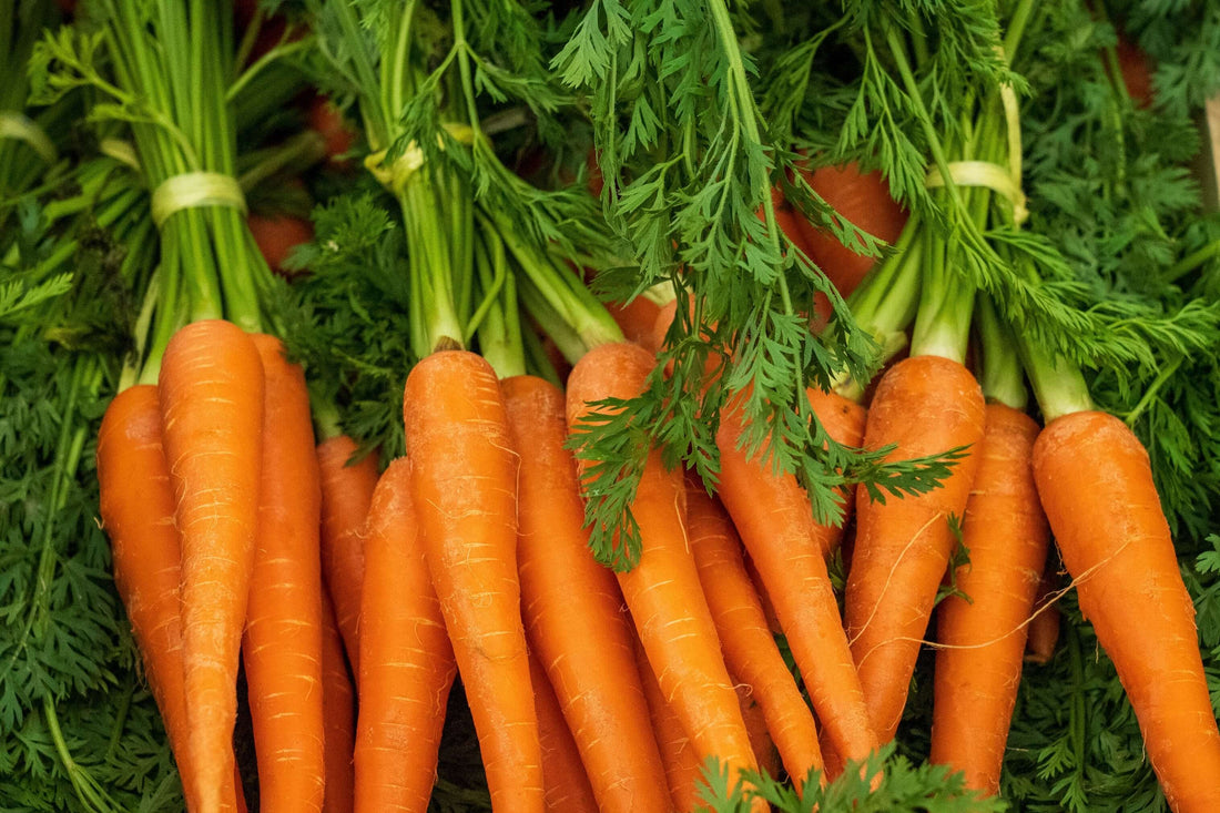 The Ubiquitous Carrot - Navon Naturals