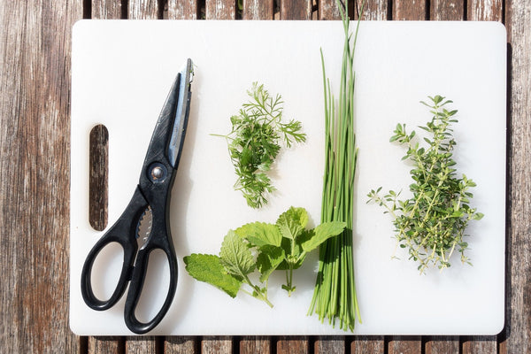 herbs